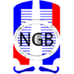 NGB尼亚里塔利